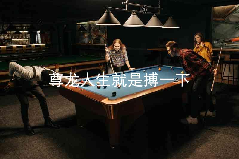 尊龙人生就是搏一下