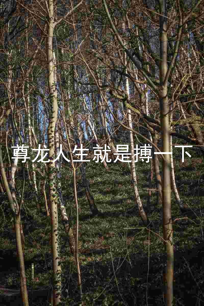 尊龙人生就是搏一下