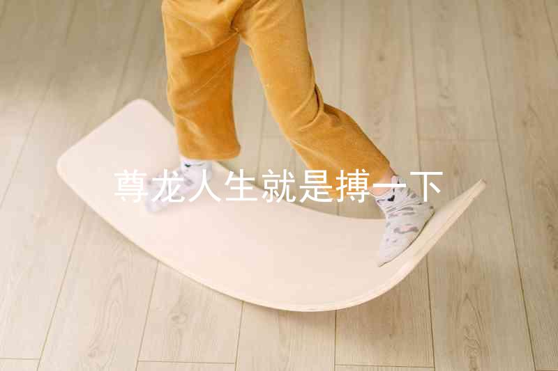 尊龙人生就是搏一下