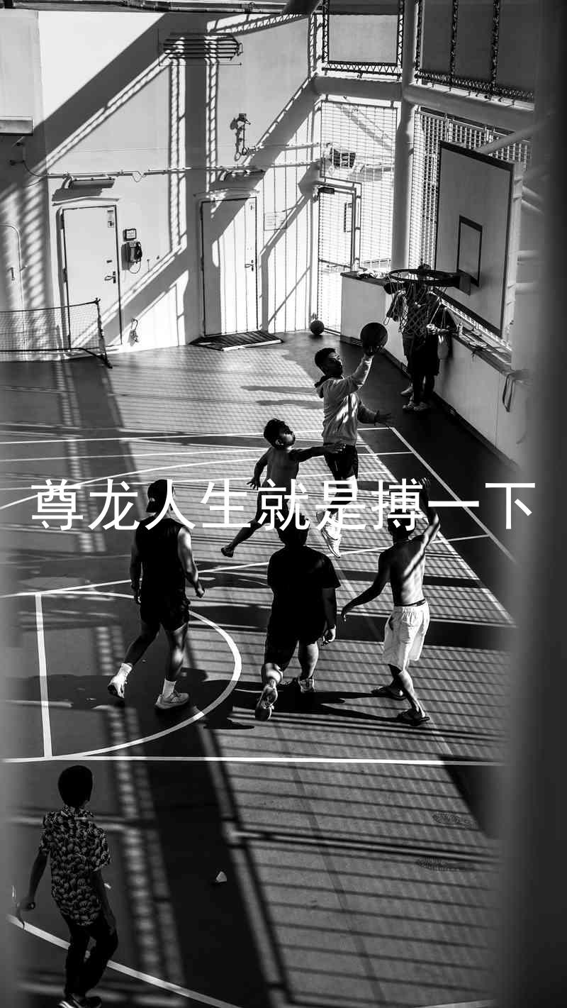 尊龙人生就是搏一下