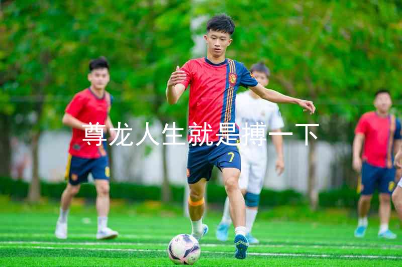 尊龙人生就是搏一下